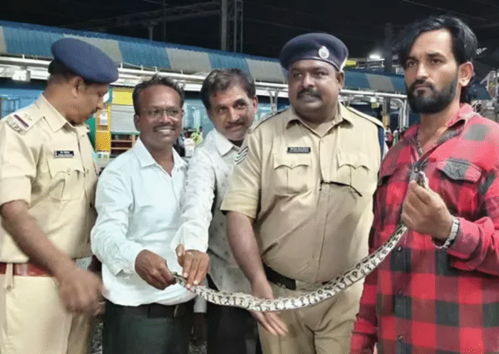 andaman express s2 coach python snake