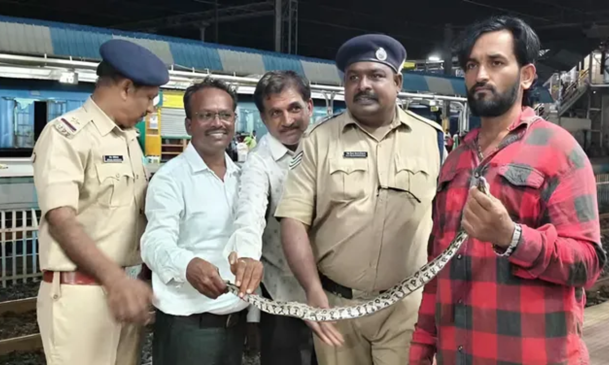 andaman express s2 coach python snake