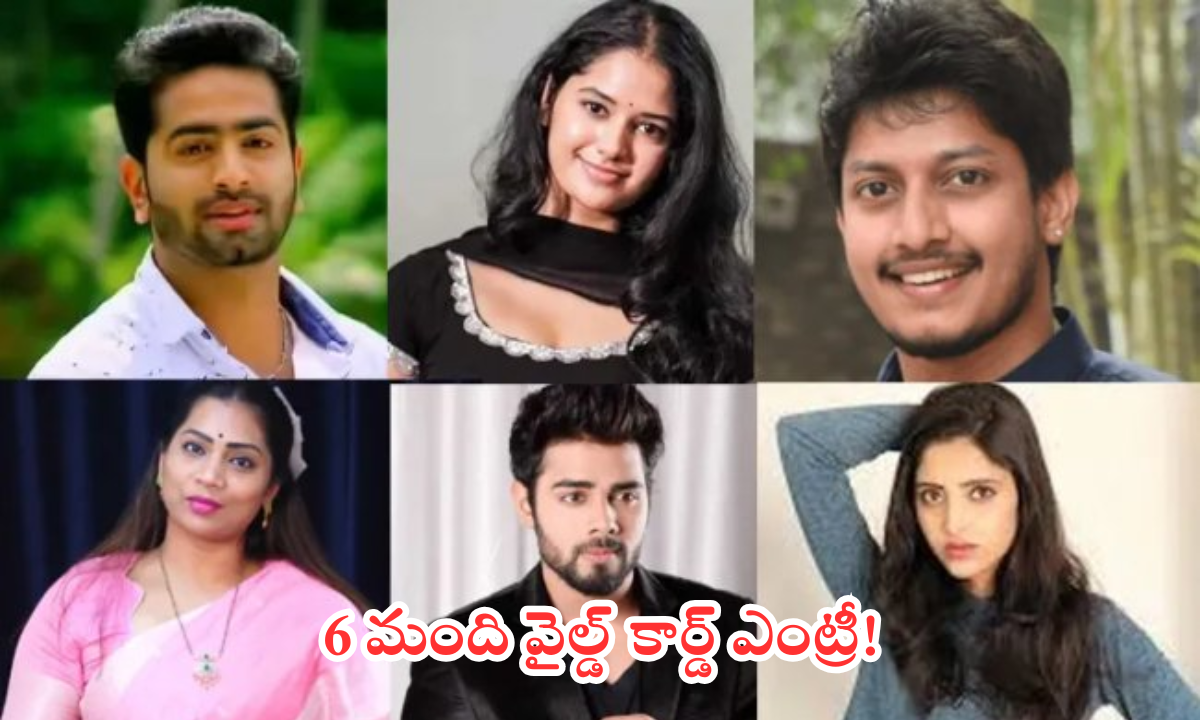 bigg boss 9 telugu wild card contestants