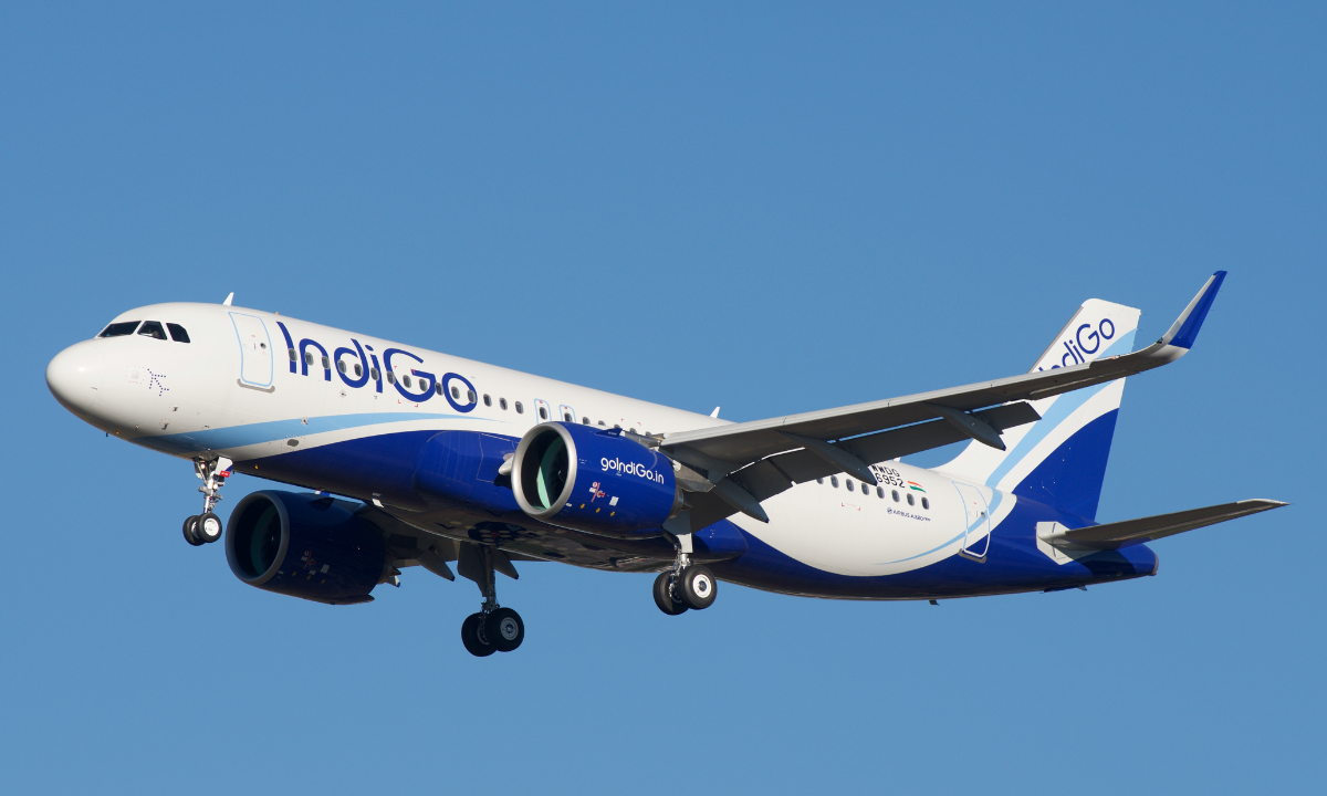 indigo fine dgca