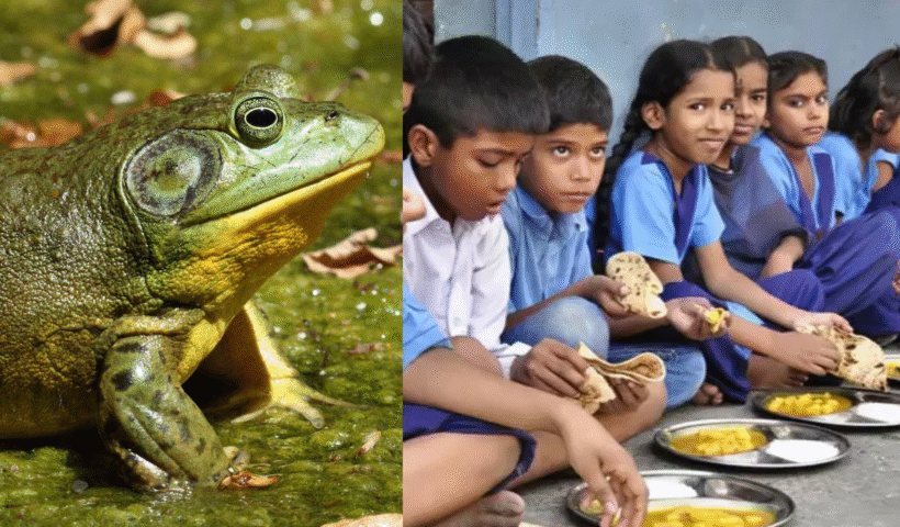 mahabubnagar school lunch news today