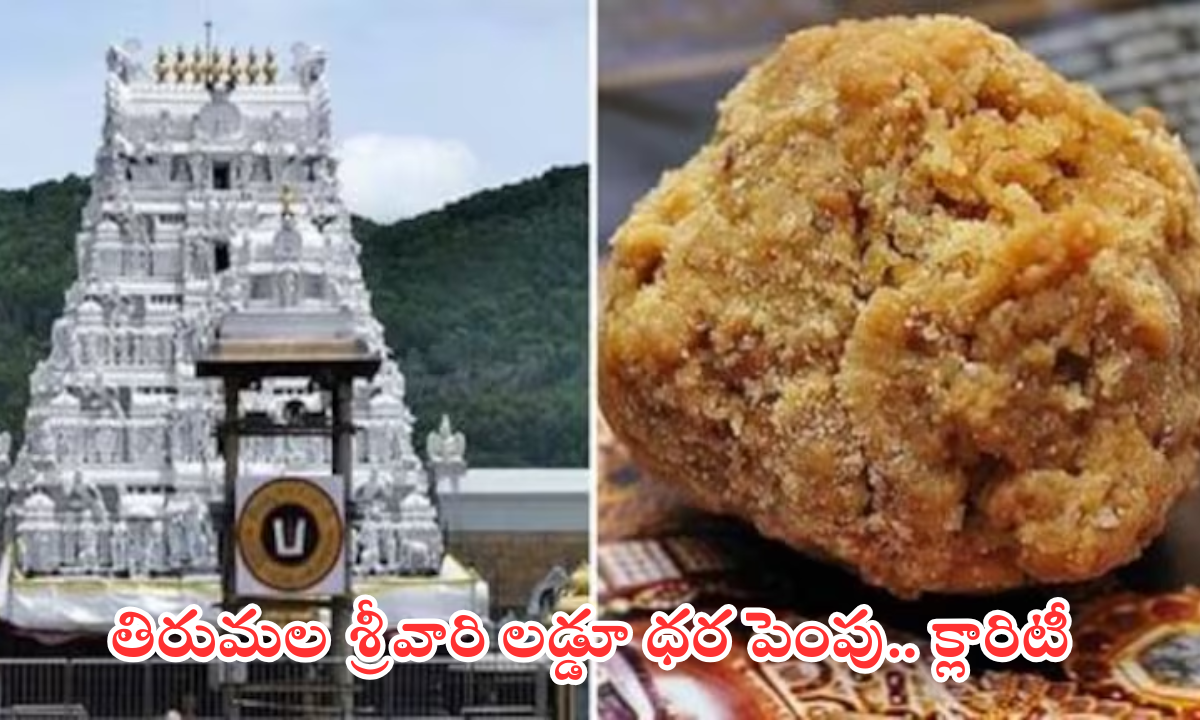 ttd laddu price hike rumors