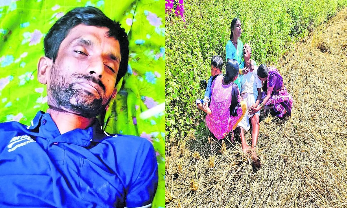montha Cyclone leaves heartbreak to farmers