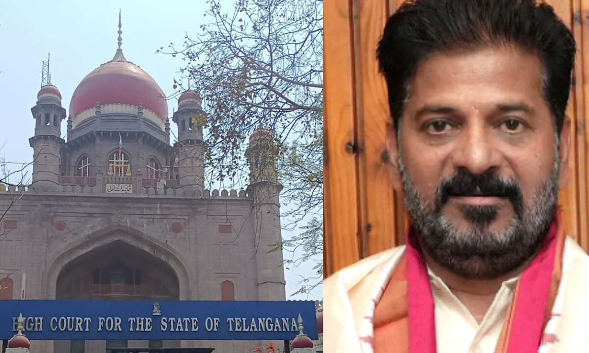 Telangana highcourt questions govt over local body elections