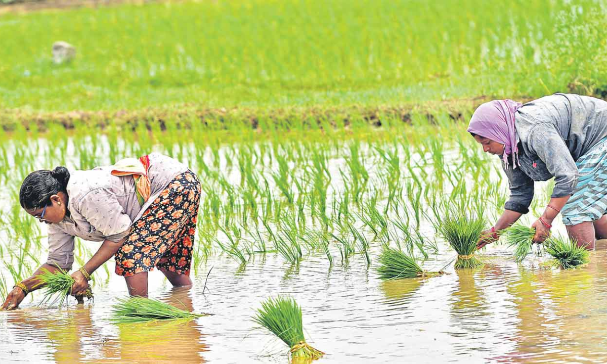 telangana rythu bharosa